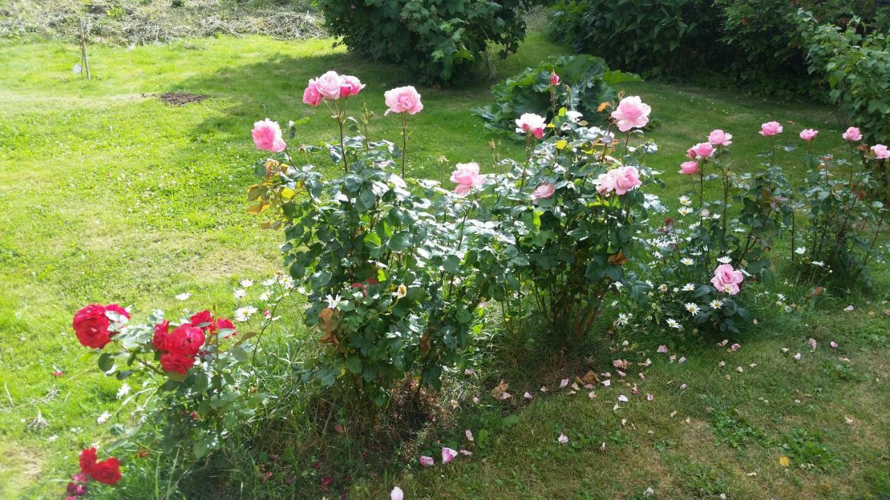 Kinne-Vedum Bed And Breakfast Götene 외부 사진